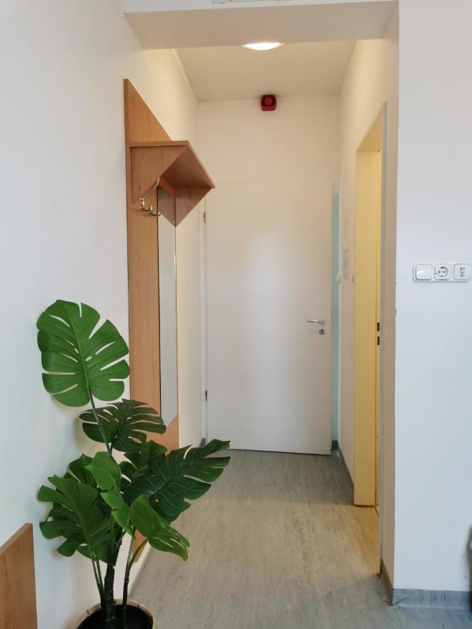 Dunaújváros Hid Ifjusagi Szallo旅舍 外观 照片